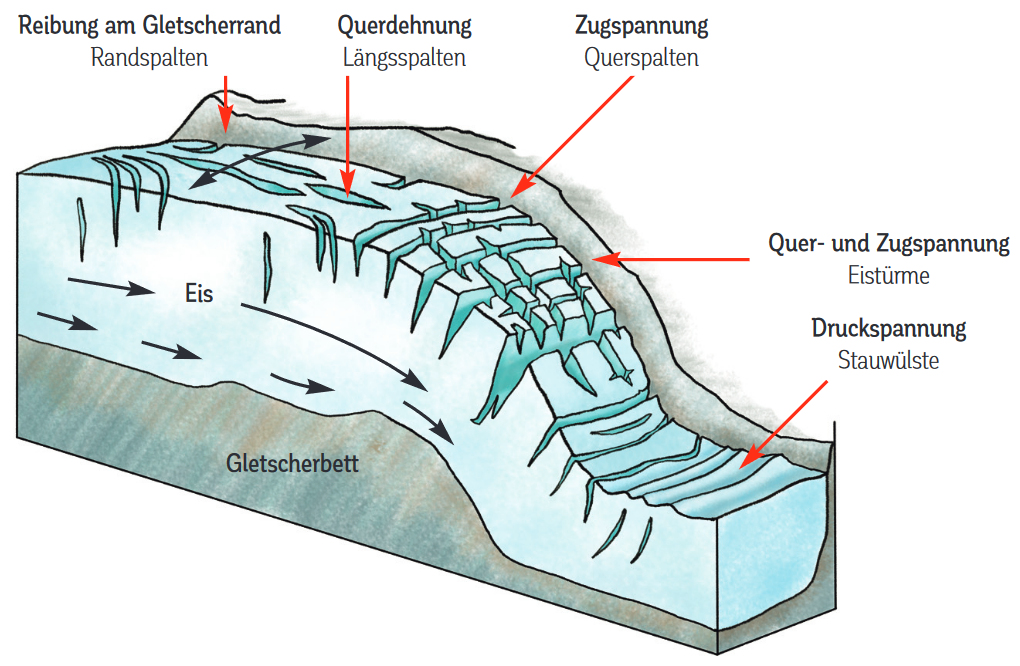 Entstehung der Gletscherspalten. Quelle: https://hohetauern.at/images/dateien/unterrichtsmaterialien/gletscher.pdf